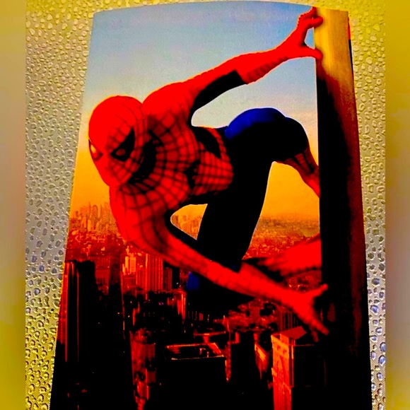 “Spider-Man” 2 DVD Special Edition. Full Screen - Picture 2 of 15